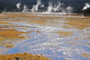 LOWER GEYSER BASIN